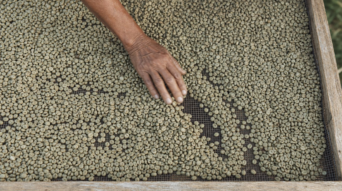 02 · THE DRYING BED
